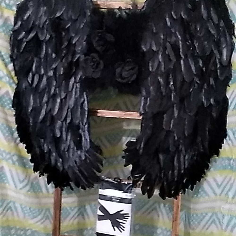 Black feathered Angel wings and gloves